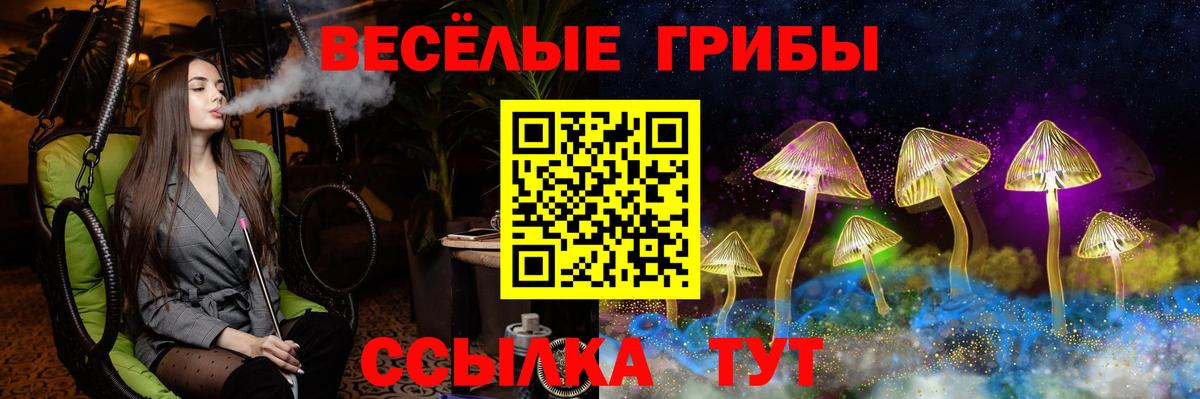 Псилоцибиновые грибы Psilocybe  Вход с VPN  Дедовск 